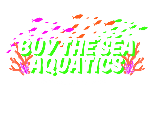 Buy The Sea Aquatics