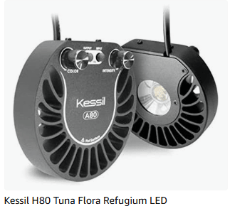 Kessil H80 Tuna Flora - Buy The Sea Aquatics