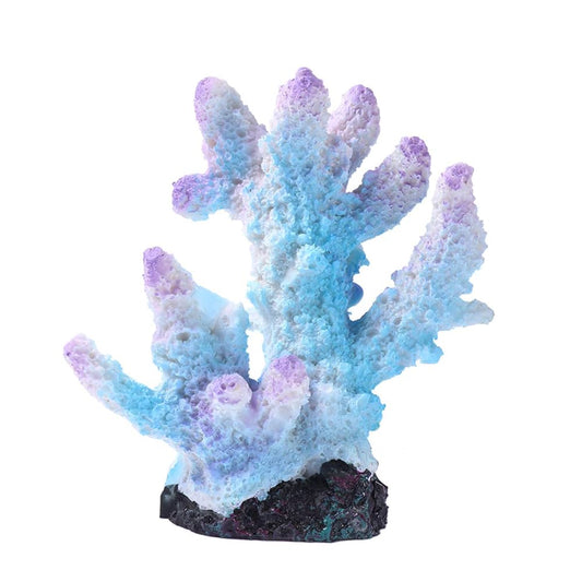 Aragonite Sand (5lb) - My Store